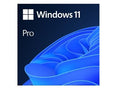 Windows 11 Pro · Licencia · 1 licencia · ESD · al por menor nacional, 64-bit · Todos los idiomas (1)