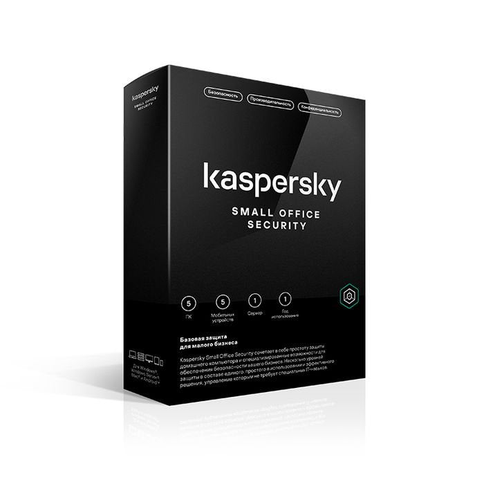 KASPERSKY SMALL OFFICE SECURIT (1)